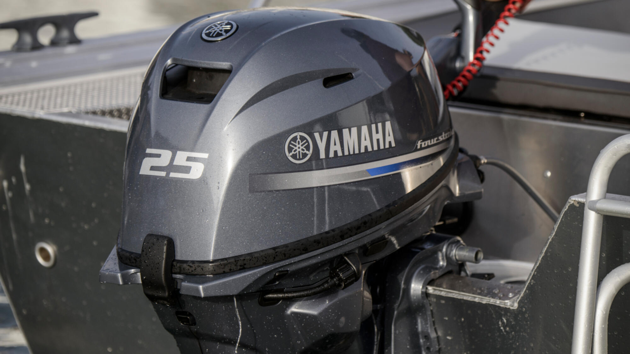 2017 Yamaha F25 Eu Detail 002 03