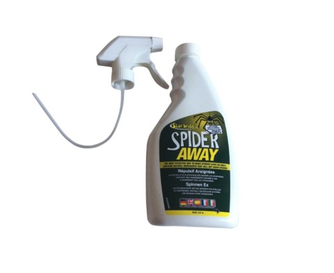 Spider Away