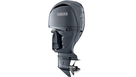 2021 Yamaha F225ncb Eu Light Grey Metallic Studio 001 2021 Yamaha F225ncb Eu Light Grey Metallic Studio 001