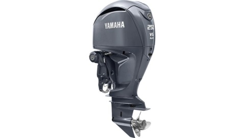 2021 Yamaha F250ncb Eu Light Grey Metallic Sbw Studio 001 2021 Yamaha F250ncb Eu Light Grey Metallic Sbw Studio 001