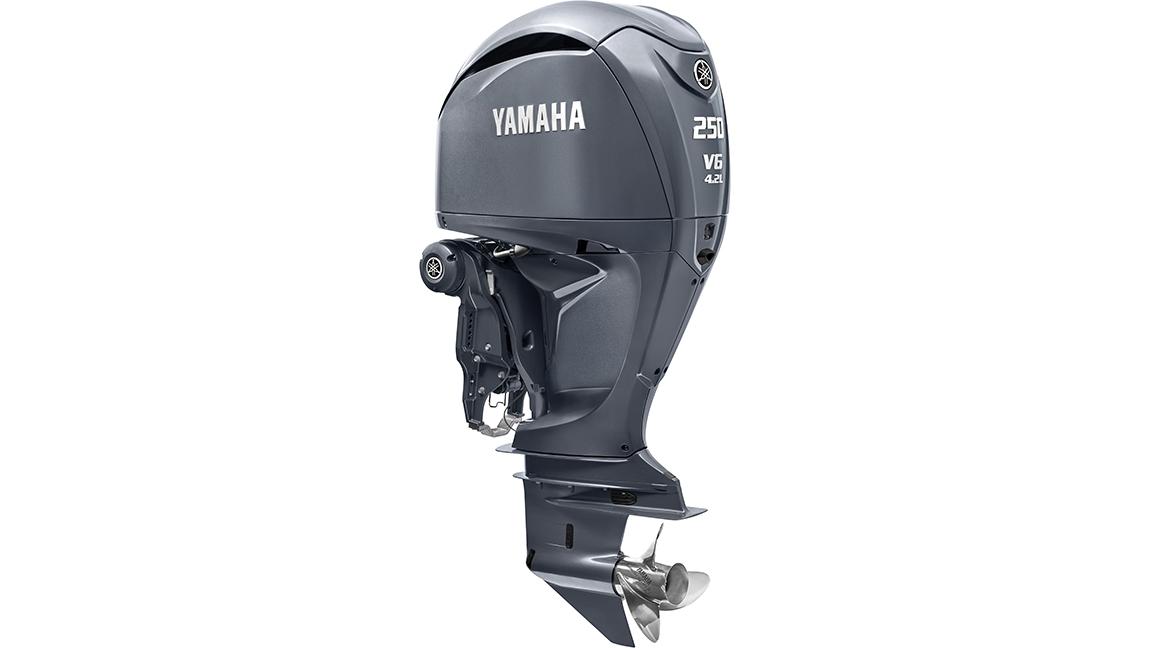 2021 Yamaha F250ncb Eu Light Grey Metallic Sbw Studio 001